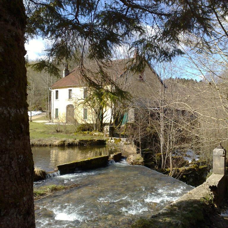 Au Moulin Des Fees - Maison D'Hotes Cascades Du Herisson Bonlieu エクステリア 写真