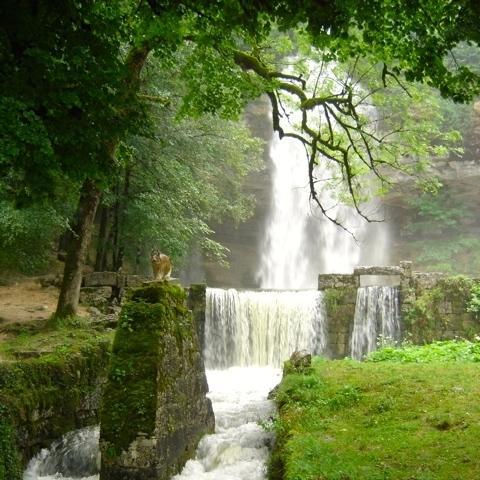 Au Moulin Des Fees - Maison D'Hotes Cascades Du Herisson Bonlieu エクステリア 写真